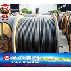 陜西電纜廠的黑皮架空線與略陽縣電子設備及零配件的協同發展