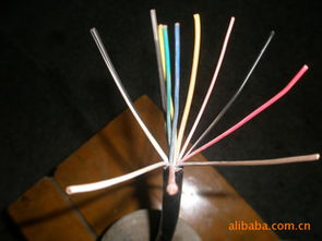 汽車控制電源線 海鹽縣鐘海電塑電纜廠的專業供應與產品解析